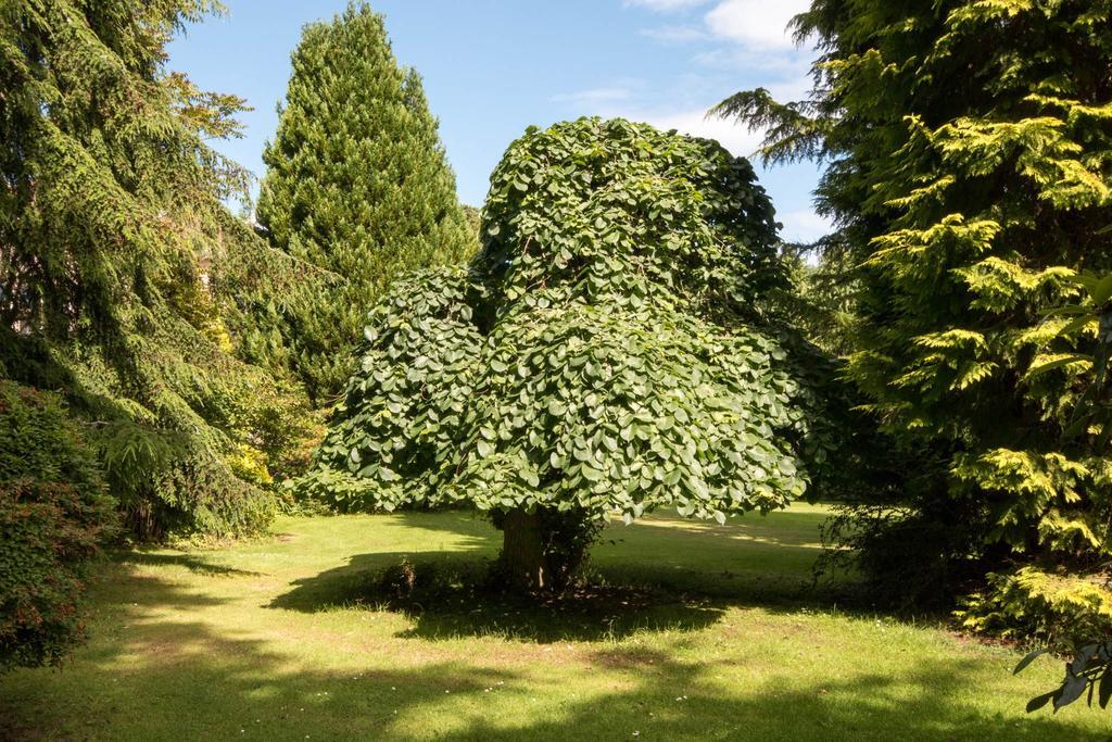Firlands Villa Forres Dış mekan fotoğraf
